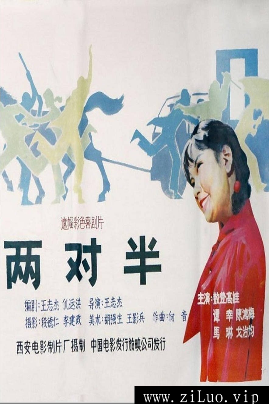 《两对半》：1986年农村题材老电影｜换婚习俗下的爱情抗争 [百度网盘下载]